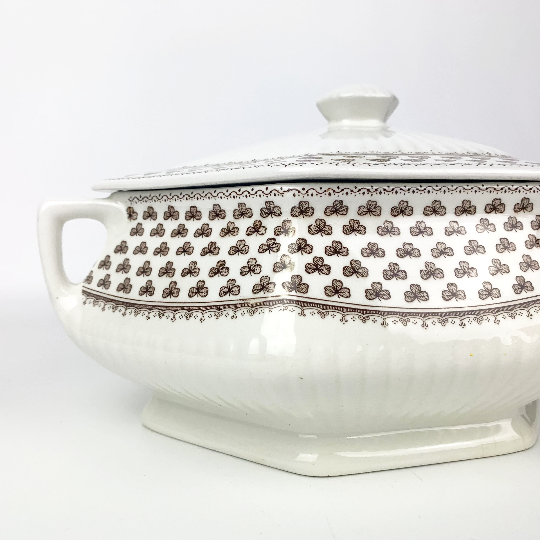 Sharon shamrock pattern on vintage tureen