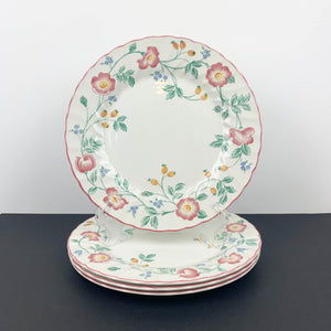 Churchill 'Briar Rose' dinner plate set of 4