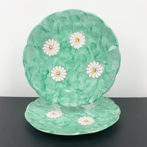 CAS Vietri rare hand painted dinner plates with daisy design