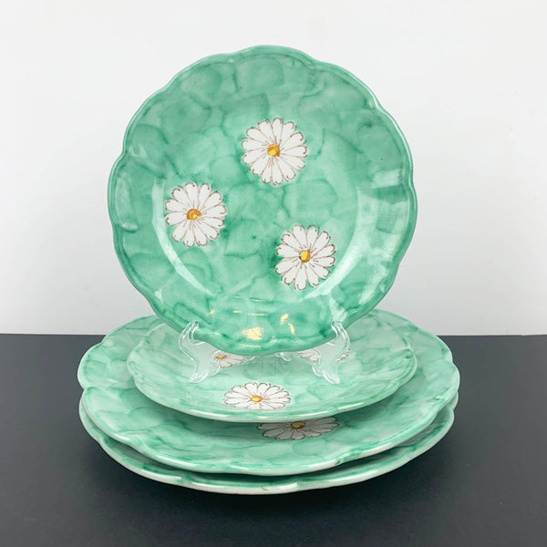 CAS Vietri rare hand painted daisy dinnerware