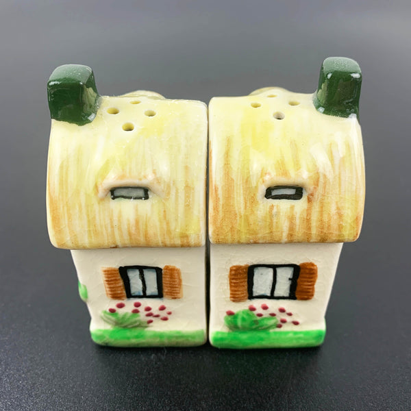 Houses novelty salt and pepper shakers