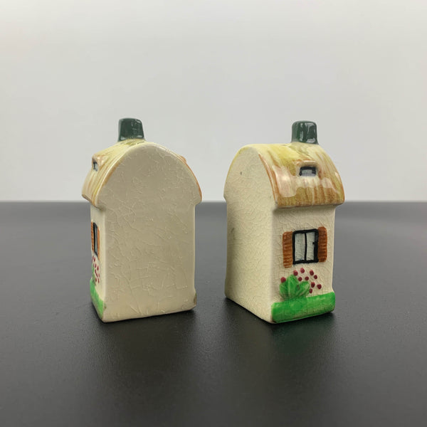 Houses novelty salt and pepper shakers