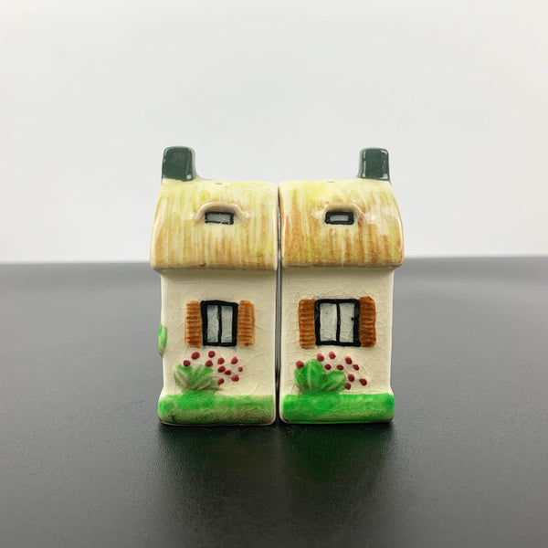 Houses novelty salt and pepper shakers