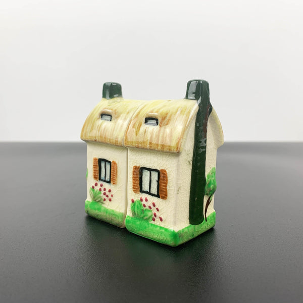 Houses novelty salt and pepper shakers