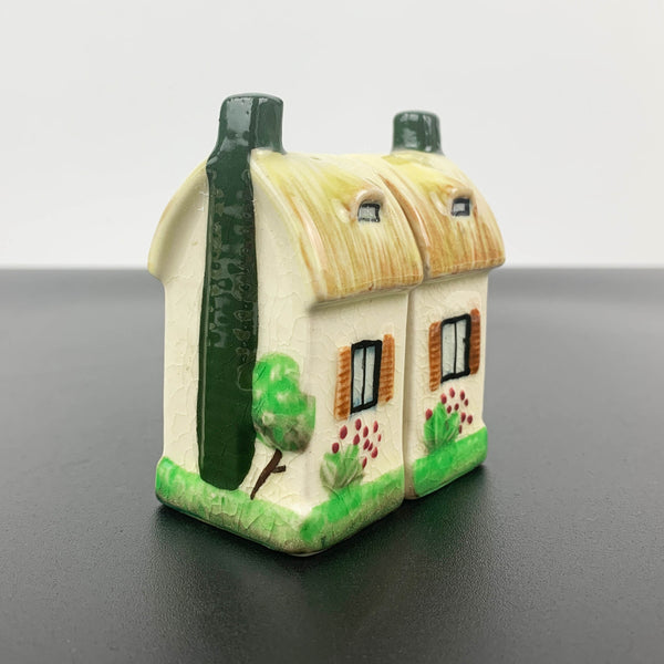 Houses novelty salt and pepper shakers