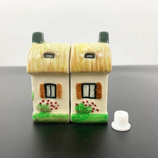 Houses novelty salt and pepper shakers