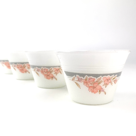 Indopal Opaline Glass Ramekin Set of 4