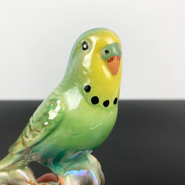 Lustre ceramic budgerigar figurine by Keele St Pottery, England