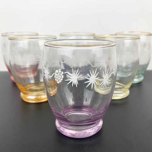 Crown Crystal rare harlequin small water glass - Set of 6