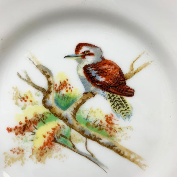 Noritake 1930s Kookaburra plate close  up