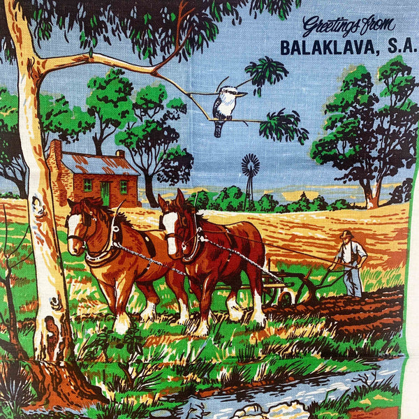 South Australian themed vintage tea towel collection - Set of 3