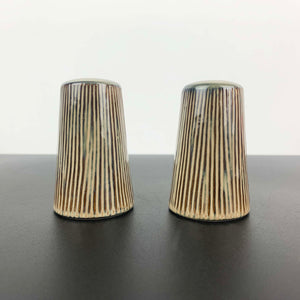 Striped pottery salt and pepper shaker set