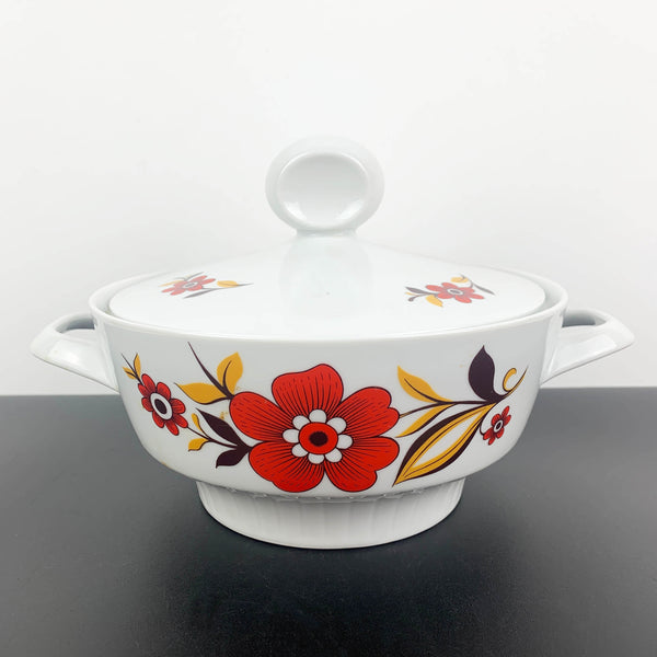 Tirschenreuth Porcelain rare mid century dinnerware