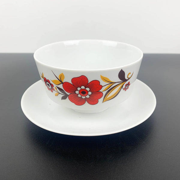 Tirschenreuth Porcelain rare mid century dinnerware