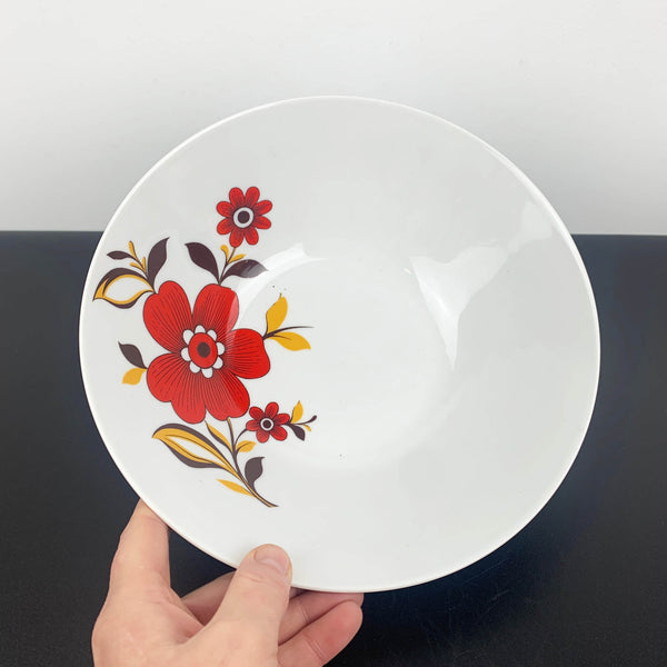 Tirschenreuth Porcelain rare mid century dinnerware