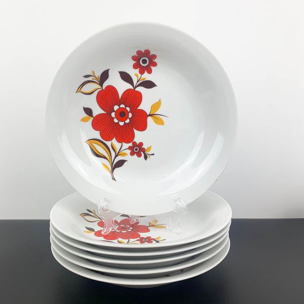 Tirschenreuth Porcelain rare mid century dinnerware