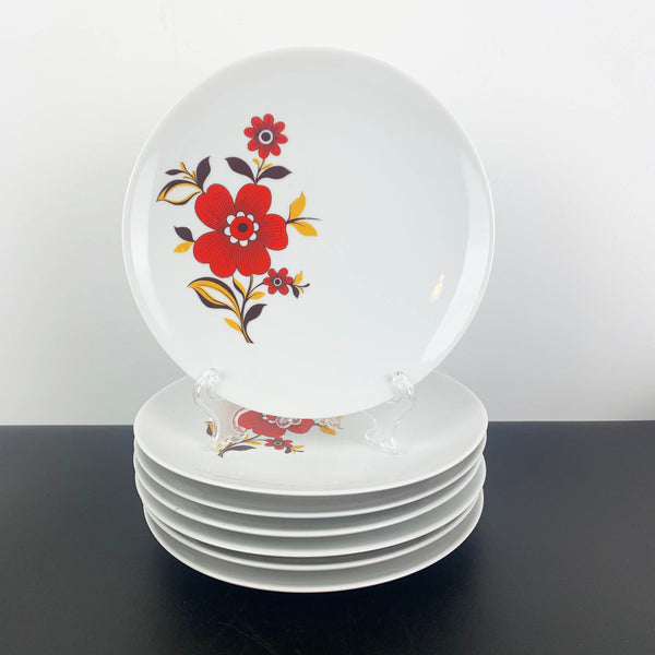 Tirschenreuth Porcelain rare mid century dinnerware