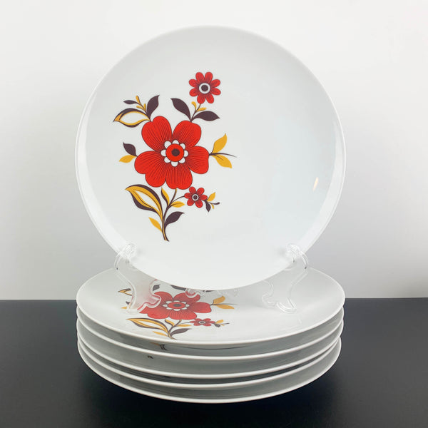 Tirschenreuth Porcelain rare mid century dinnerware