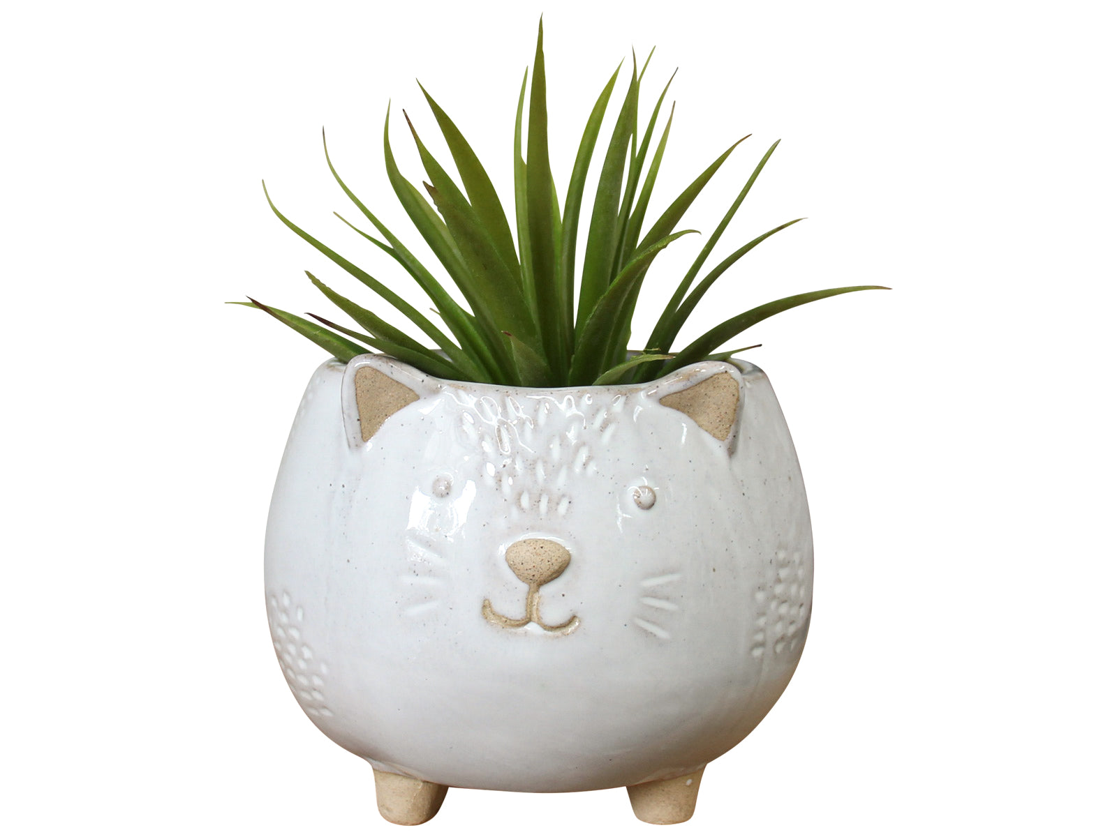 Hedgehog Planter Pot