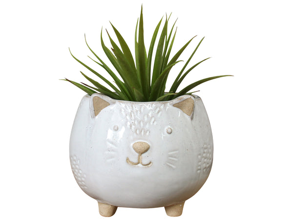 Hedgehog Planter Pot