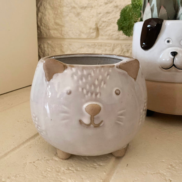 Hedgehog Planter Pot