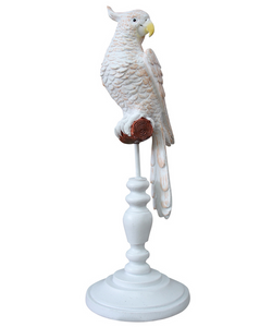 White and Peach Parrot on Perch