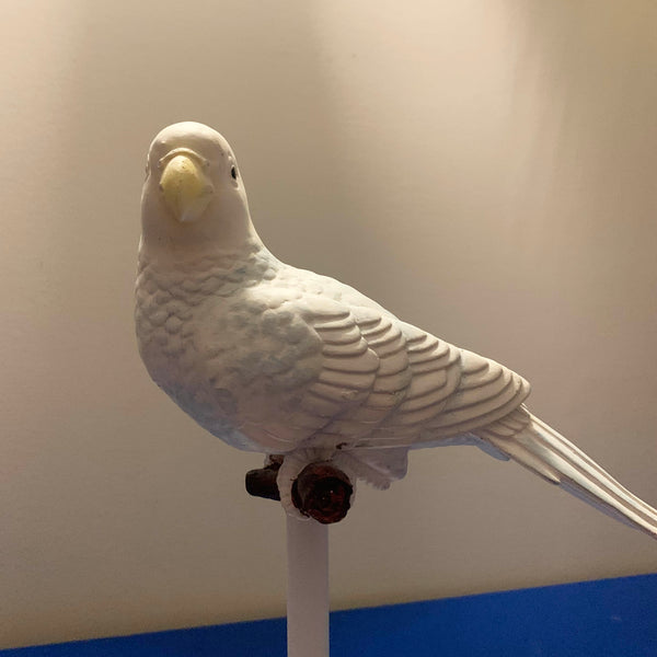 White and Soft Blue Parrot on Perch