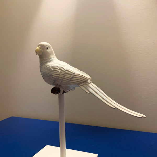 White and Soft Blue Parrot on Perch