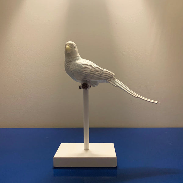 White and Soft Blue Parrot on Perch